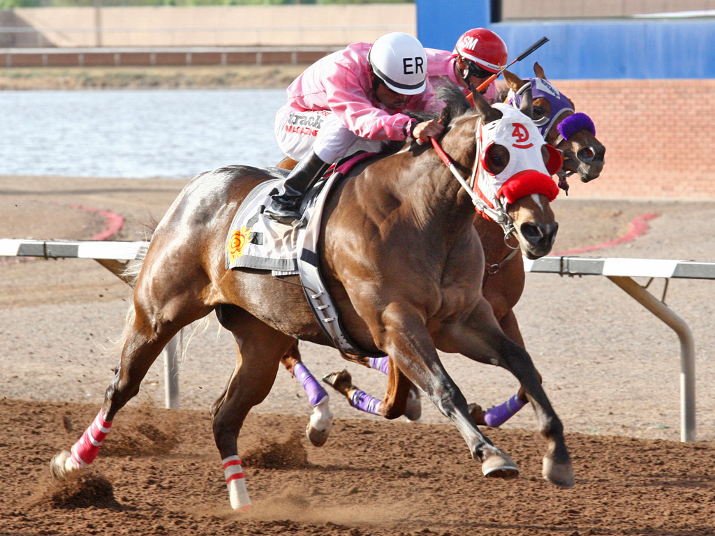 West Texas Derby & Sunburst Stakes Results Sunland Park Racetrack and