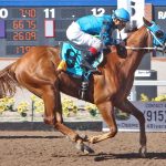 ON-THE-LOW-DOWN-Copper-Top-Futurity-Finish-1