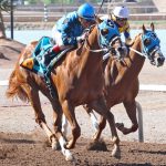 ON-THE-LOW-DOWN-Copper-Top-Futurity-Finish-2