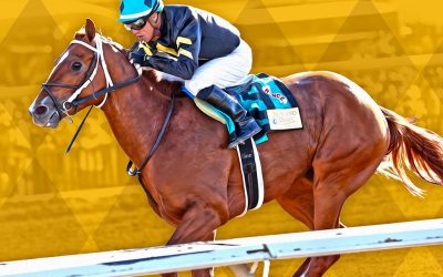Prospects for the Sunland Derby
