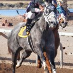 Cat Daddys Lil Girl – Lou Wooten and Sydney Valentini Handicap - 2020