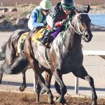 Rowdy Yates – Riley Allison Derby – 2020