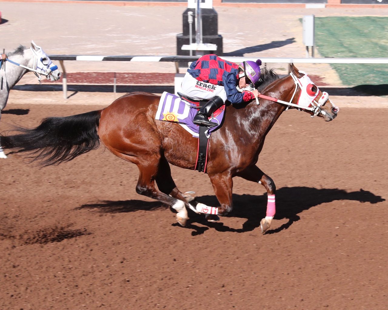 WEST TEXAS DERBY WINNER Sunland Park