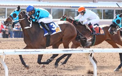 Evacuee posts 30-1 upset win in $100,000 Mt. Cristo Rey Handicap
