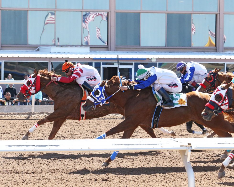 Racing Sunland Park