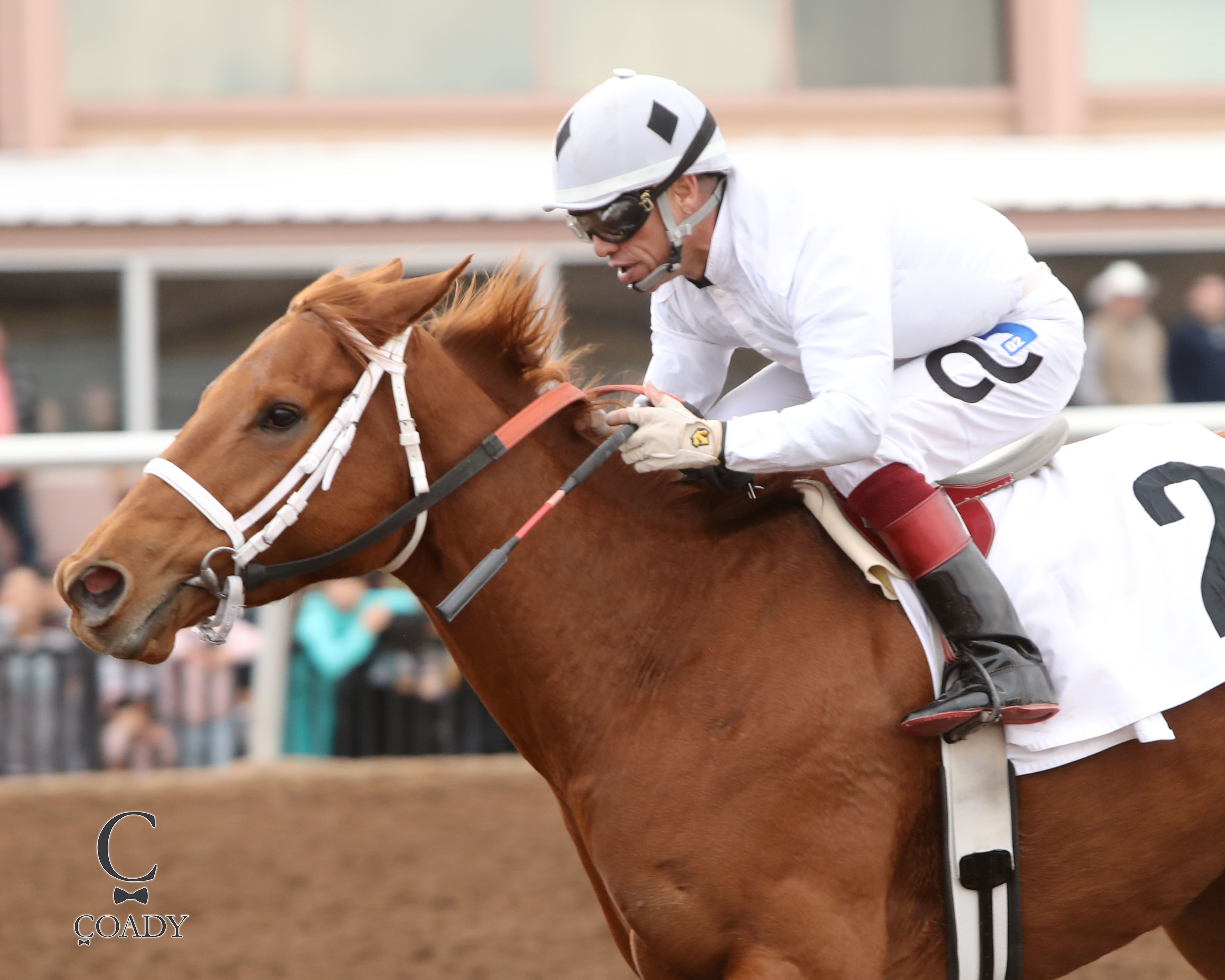 Racing | Sunland Park